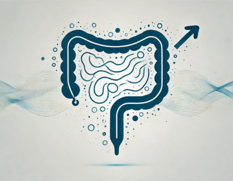 Emerging Insights into Erectile Dysfunction: The Role of Gut Microbiome