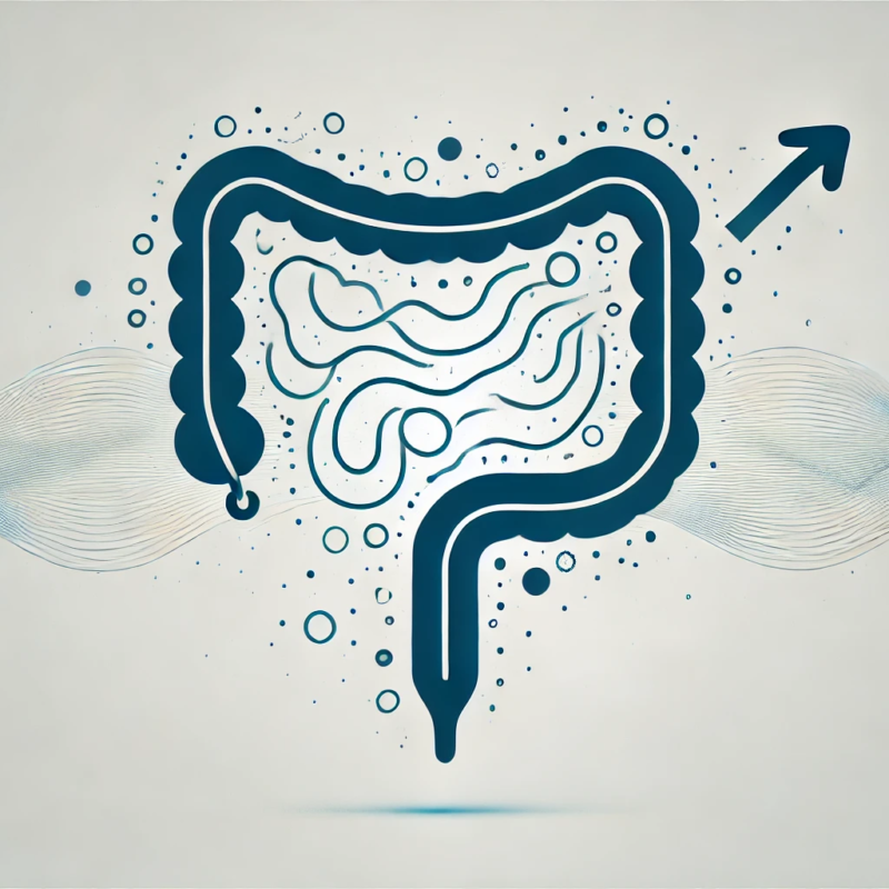 Emerging Insights into Erectile Dysfunction: The Role of Gut Microbiome